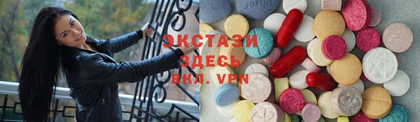 прущие грибы Новозыбков
