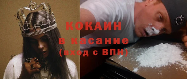 прущие грибы Новозыбков