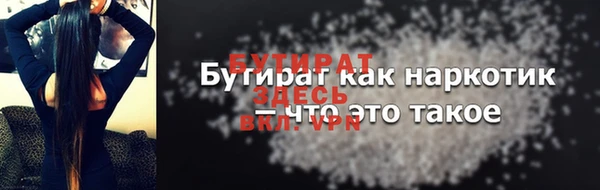прущие грибы Новозыбков