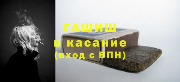 прущие грибы Новозыбков