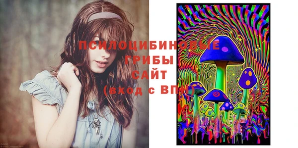 ешки Новодвинск