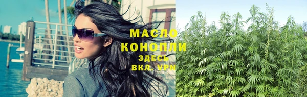 прущие грибы Новозыбков