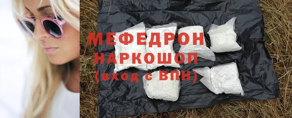 прущие грибы Новозыбков