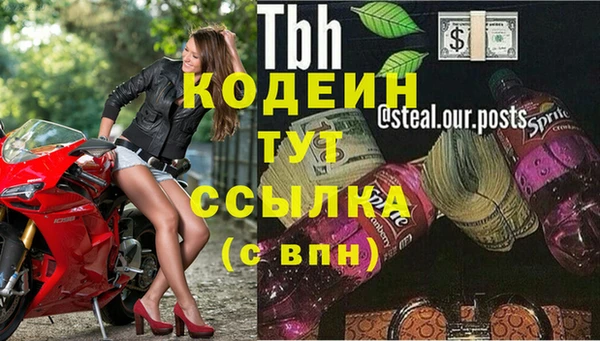 ешки Новодвинск