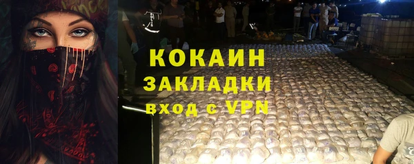 ешки Новодвинск