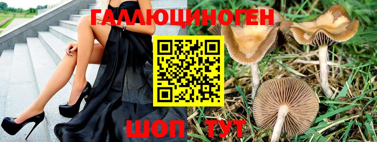 Псилоцибиновые грибы мицелий  Котельники  Псилоцибиновые грибы ЛСД 