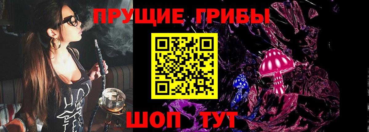 Котельники  Псилоцибиновые грибы Cubensis  Псилоцибиновые грибы Psilocybe  Вход с VPN 